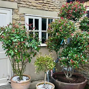 Bed & Breakfast Twin The Anvil Sawdon
